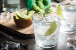 Gin Tasting Bonn