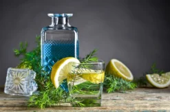 Gin Tasting Dortmund
