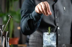 Gin Tasting Düsseldorf