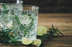 Gin Tasting Erlangen