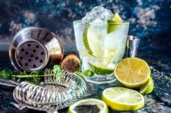 Gin Tasting für 2