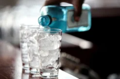 Gin Tasting Frankfurt