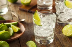 Gin Tasting Frankfurt am Main (7 Premium Gins)