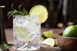 Gin Tasting für 2 Regensburg