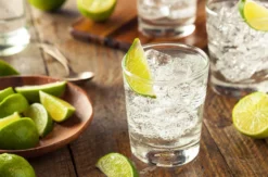 Gin Tasting für 2 Regensburg