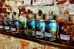Gin Tasting Hamburg