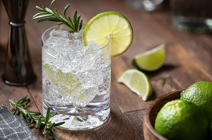Gin Tasting Hamburg (8 Premium Gins)
