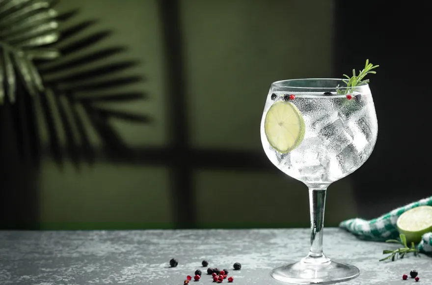 Gin Tasting Hamburg (7 Premium Gins)