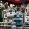Gin Tasting Hattersheim am Main