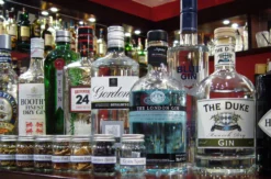 Gin Tasting Hattersheim am Main