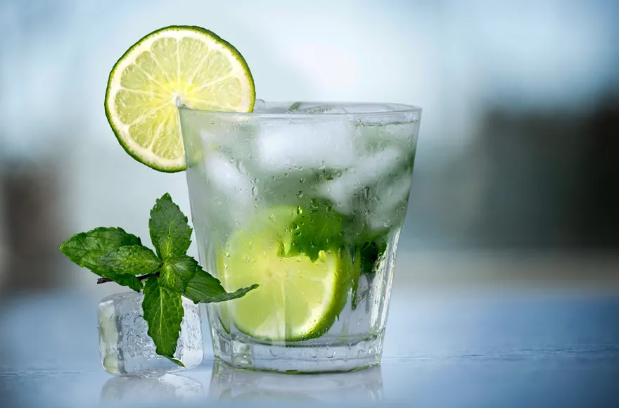 Gin Tasting Hattersheim am Main