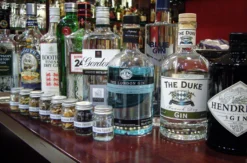 Gin Tasting Hattersheim am Main