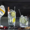 Gin Tasting in der Villa Mumm Eltville
