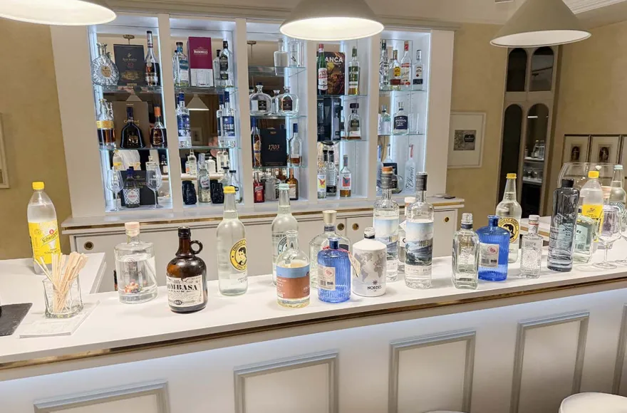Gin Tasting in der Villa Mumm Eltville