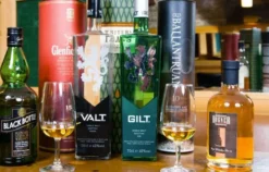 Gin-Tasting in Wien