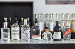 Gin Tasting München (7 Premium Gins)