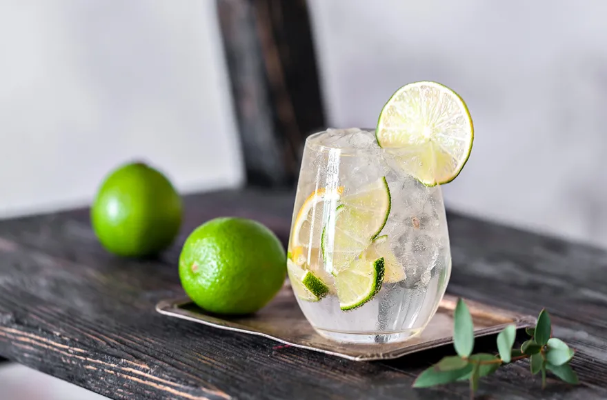Gin Tasting München (7 Premium Gins)