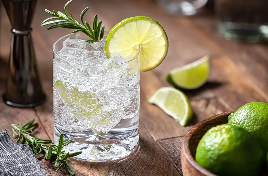 Gin Tasting München (7 Premium Gins)