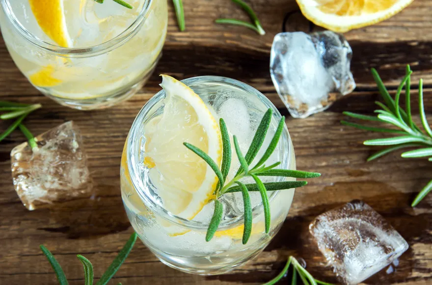 Gin Tasting München (7 Premium Gins)