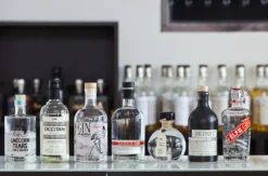 Gin Tasting München (8 Premium Gins)