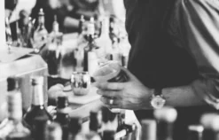 Gin-Tasting Regensburg