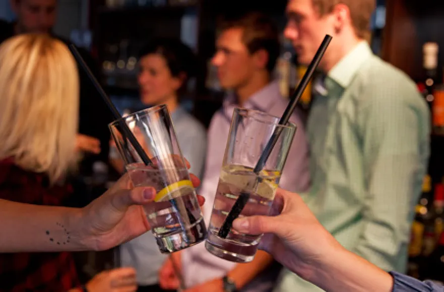 Gin Tasting Österreich