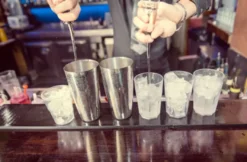 Gin Tasting Österreich
