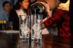 Gin Tasting Österreich