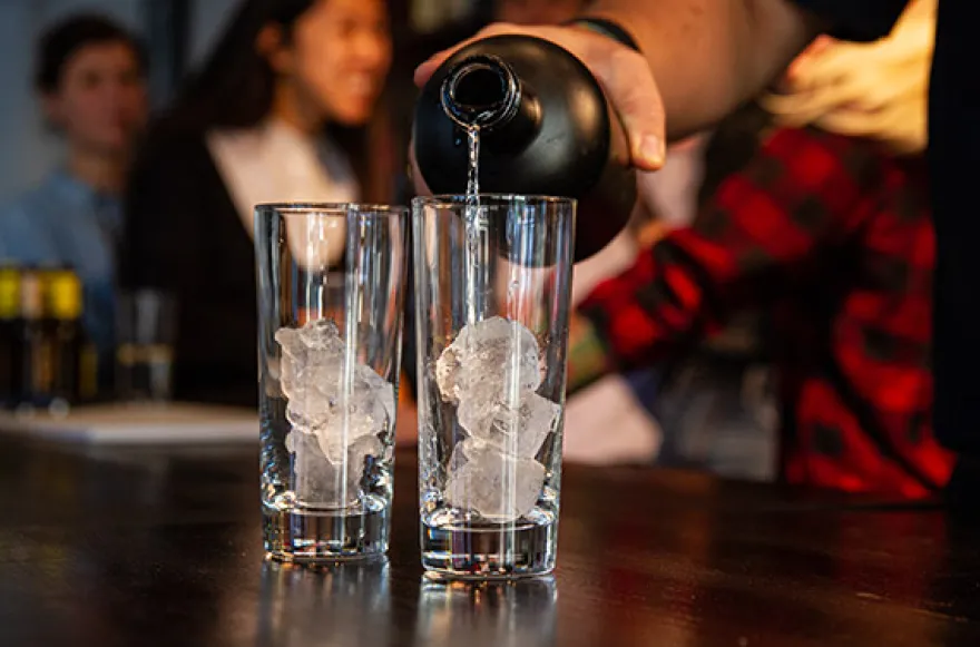 Gin Tasting Österreich