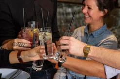 Gin Tasting Österreich