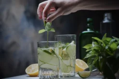 Gin Tasting Stuttgart Bad Cannstatt