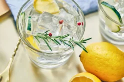 Gin Tasting Stuttgart (7 Premium Gins)