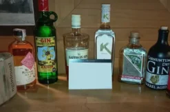 Gin Tasting Wien Donaustadt