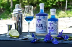 Gin & Tonic Tasting für 2 in Waxenberg