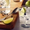 Gin- & Tonic-Tasting München