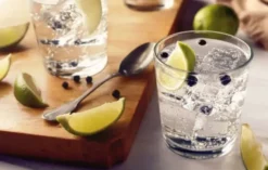 Gin- & Tonic-Tasting München
