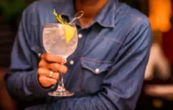Gin- & Tonic-Tasting München
