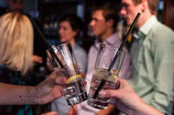 Gin-Verkostung & Brennkurs