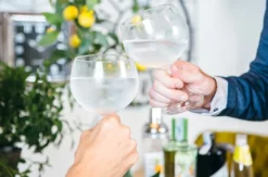 Gin Verkostung Nürnberg