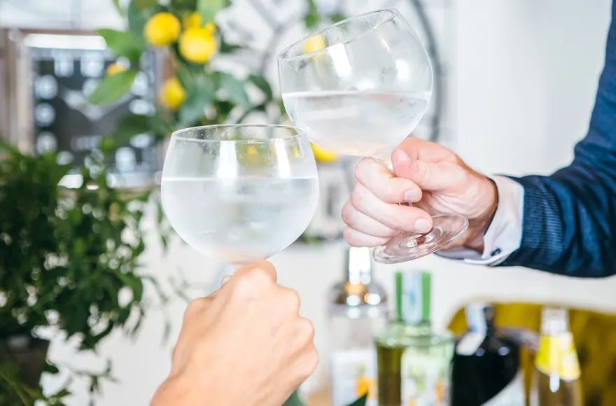 Gin Verkostung Nürnberg