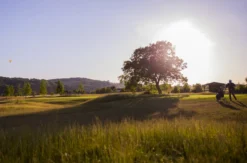 Golfkurs zur Platzreife Niedernberg
