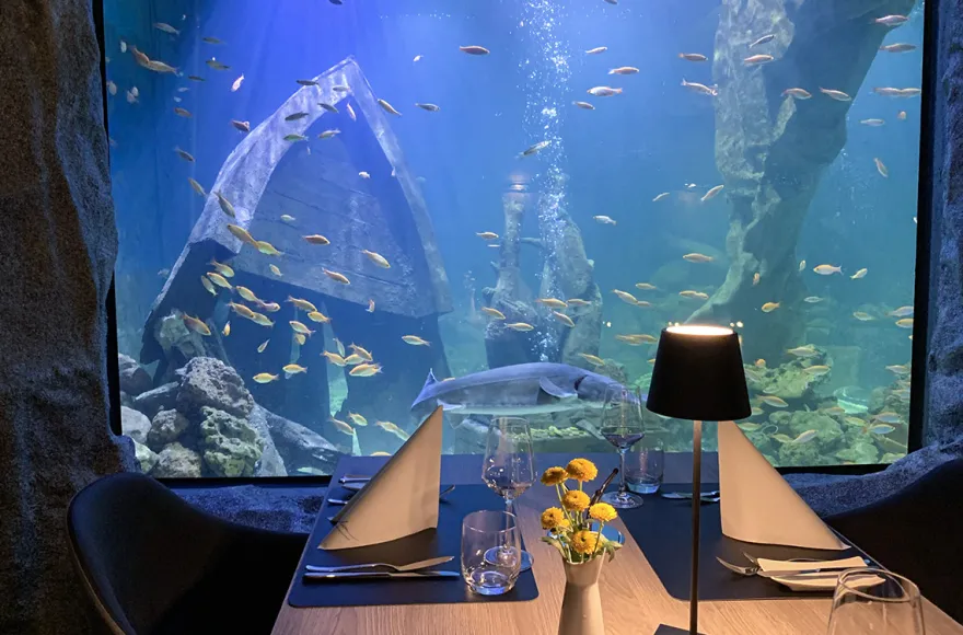 Gourmet-Menü im Unterwasser-Restaurant in Neuwied für 2
