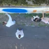 Graffiti Workshop Rüsselsheim für 2
