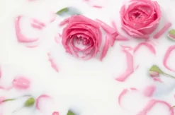 Ägyptische Massage Bad Soden am Taunus