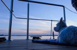 Hausboot mieten mit Sauna für 2 (5 Tage)