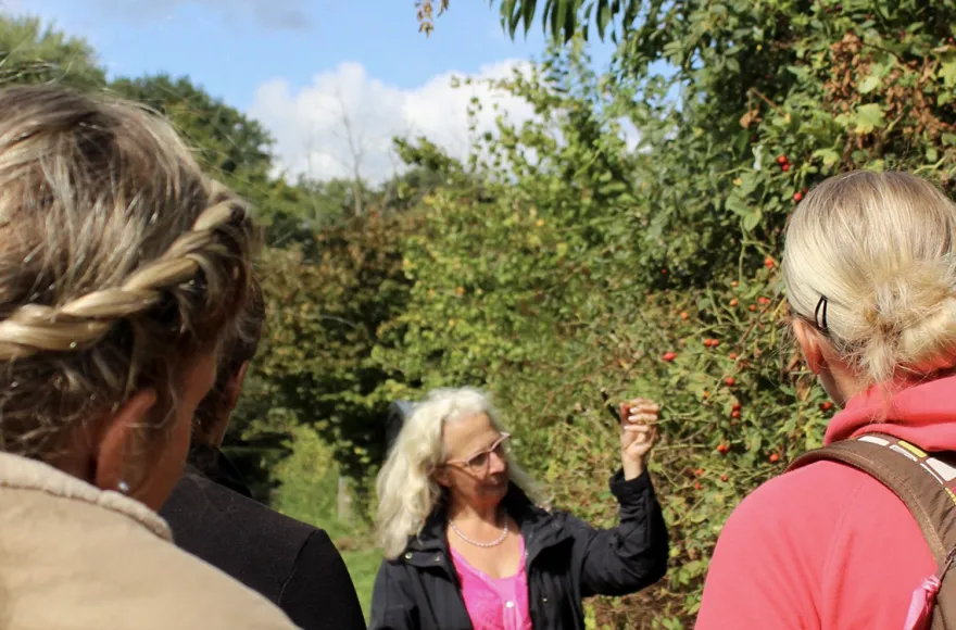 Heilkräuter Kurs Jüchen