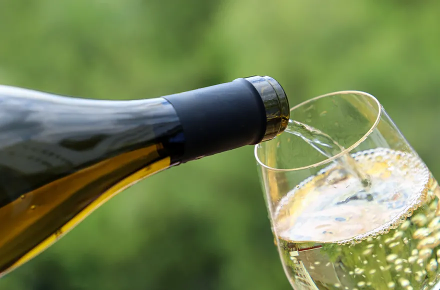 Henkell Freixenet Sektseminar Wiesbaden