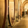 Henkell Freixenet Sektverkostung Wiesbaden