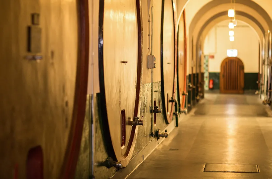 Henkell Freixenet Sektverkostung Wiesbaden