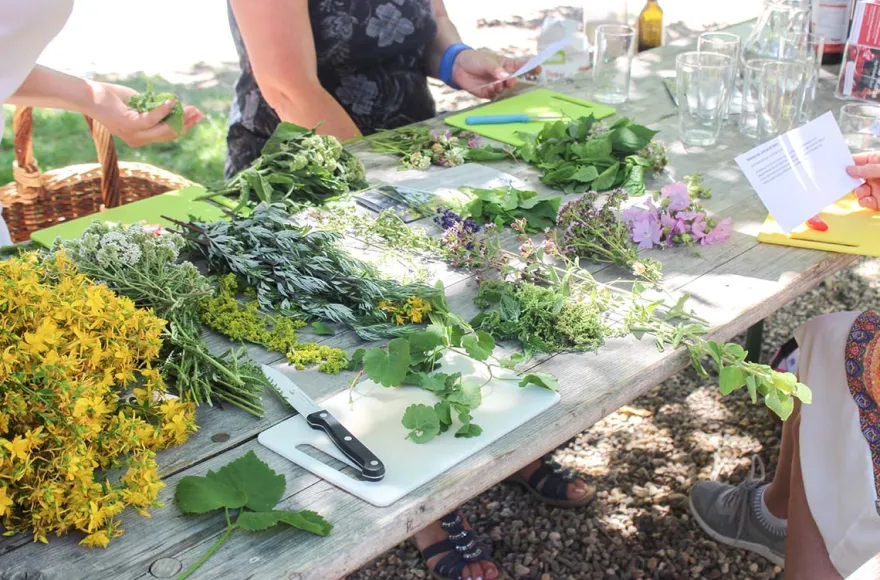 Hildegard von Bingen Medizin Wegberg